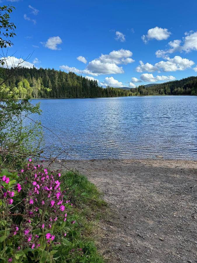 Ferienwohnung für 5 Personen, mit Ausblick und Garten, mit Haustier in Falkau (Feldberg) - 4