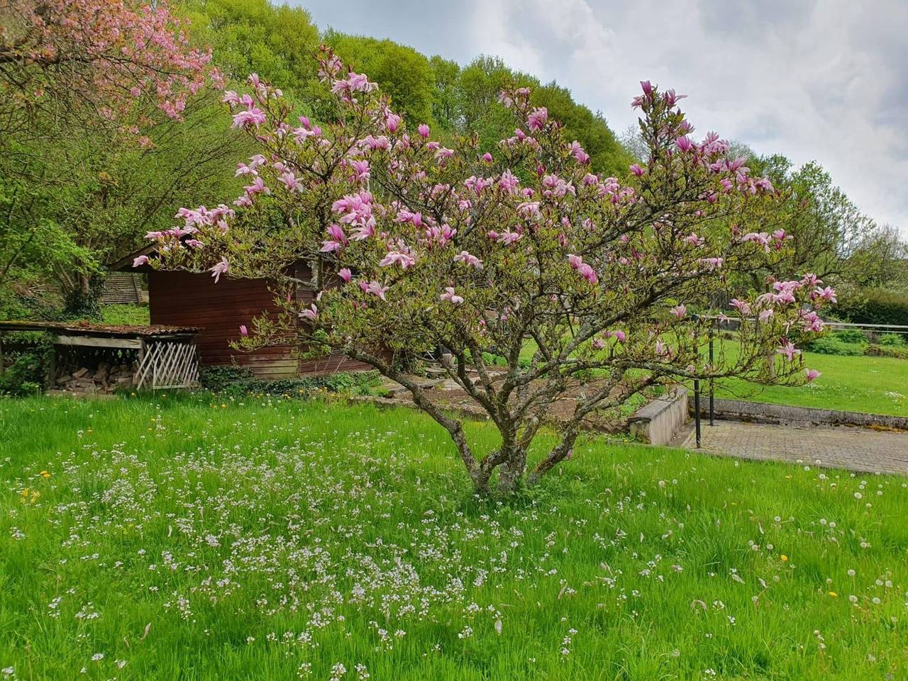 Ganze Ferienwohnung, Ferienwohnung Haus Waldblick - 2-Bett-Ferienwohnung, Dusche/Wc, 1 Schlafzimmer in Daun, Vulkaneifel