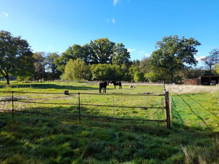 Ferienhaus für 4 Personen, mit Garten, kinderfreundlich in Fränkisches Seenland - 4