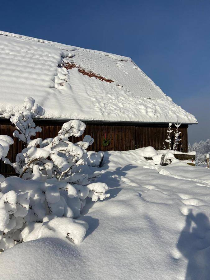 Gîte pour 6 personnes, avec vue et jardin à Weiler-Simmerberg - 2