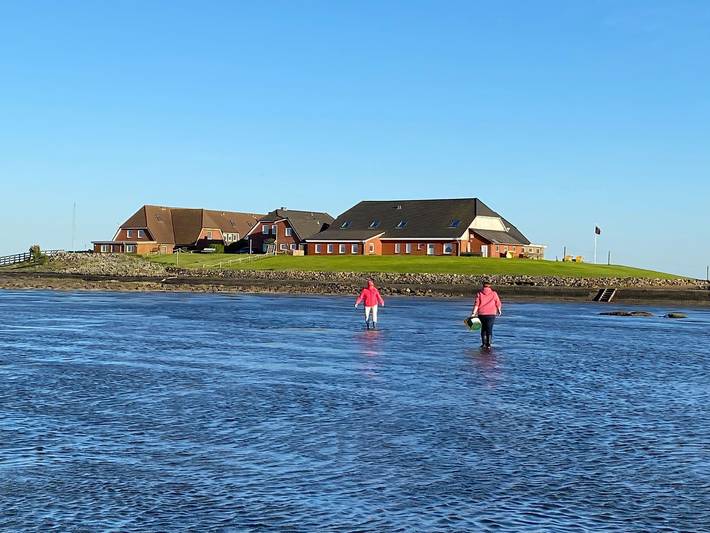 Ferienwohnung für 2 Personen, mit Garten und Seeblick auf den Nordfriesische Inseln - 4