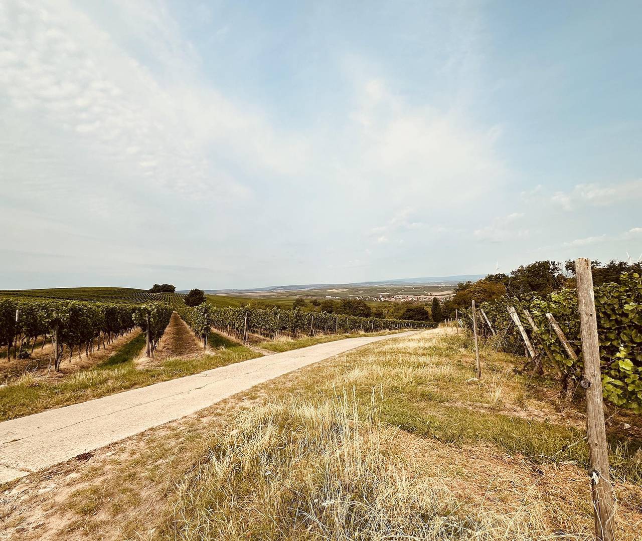 Ganze Ferienwohnung, Ferienwohnung Breivogel in Wörrstadt, Rheinhessen
