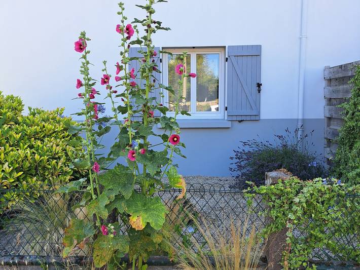Gîte pour 4 personnes, avec Jardin