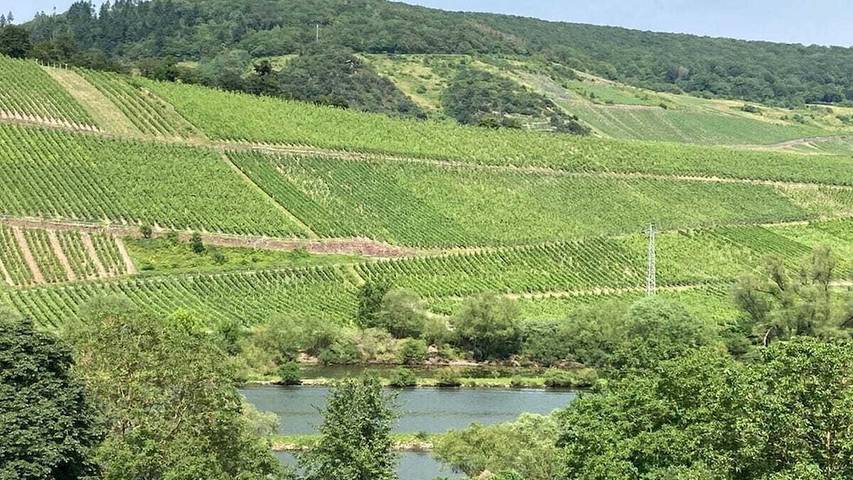Ferienhaus für 4 Personen, mit Balkon in Pünderich - 3