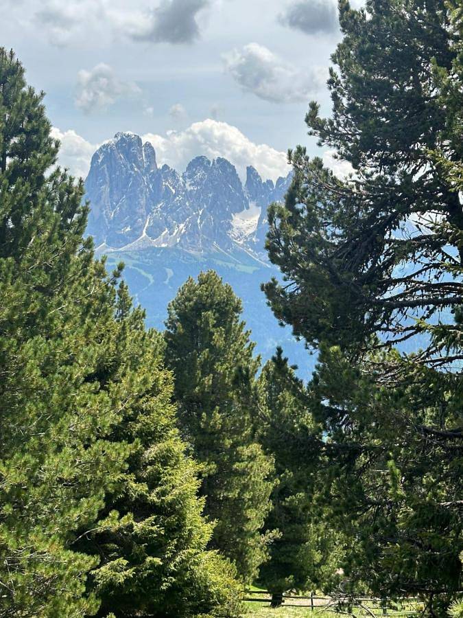 Double Room with Mountain View in St. Ulrich in Gröden, Dolomiti Superski