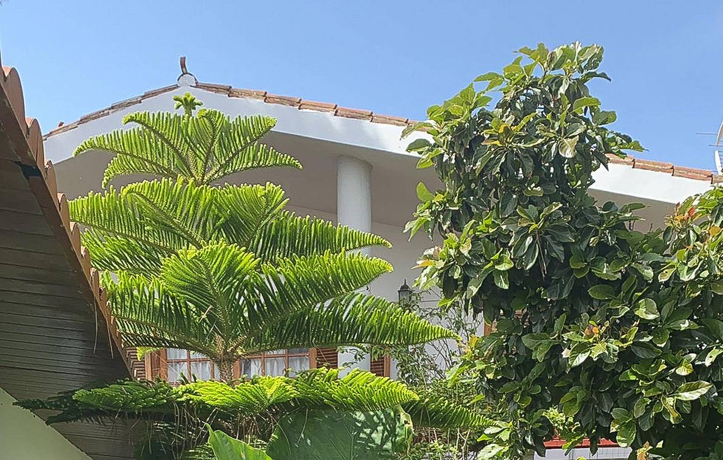 Appartement paisible avec piscine et terrasse près du centre-ville de Firgas in Firgas, Grande Canarie du Nord