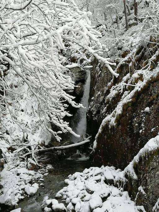 Ferienwohnung für 5 Personen, mit Terrasse und Ausblick, mit Haustier in Masfjorden - 4