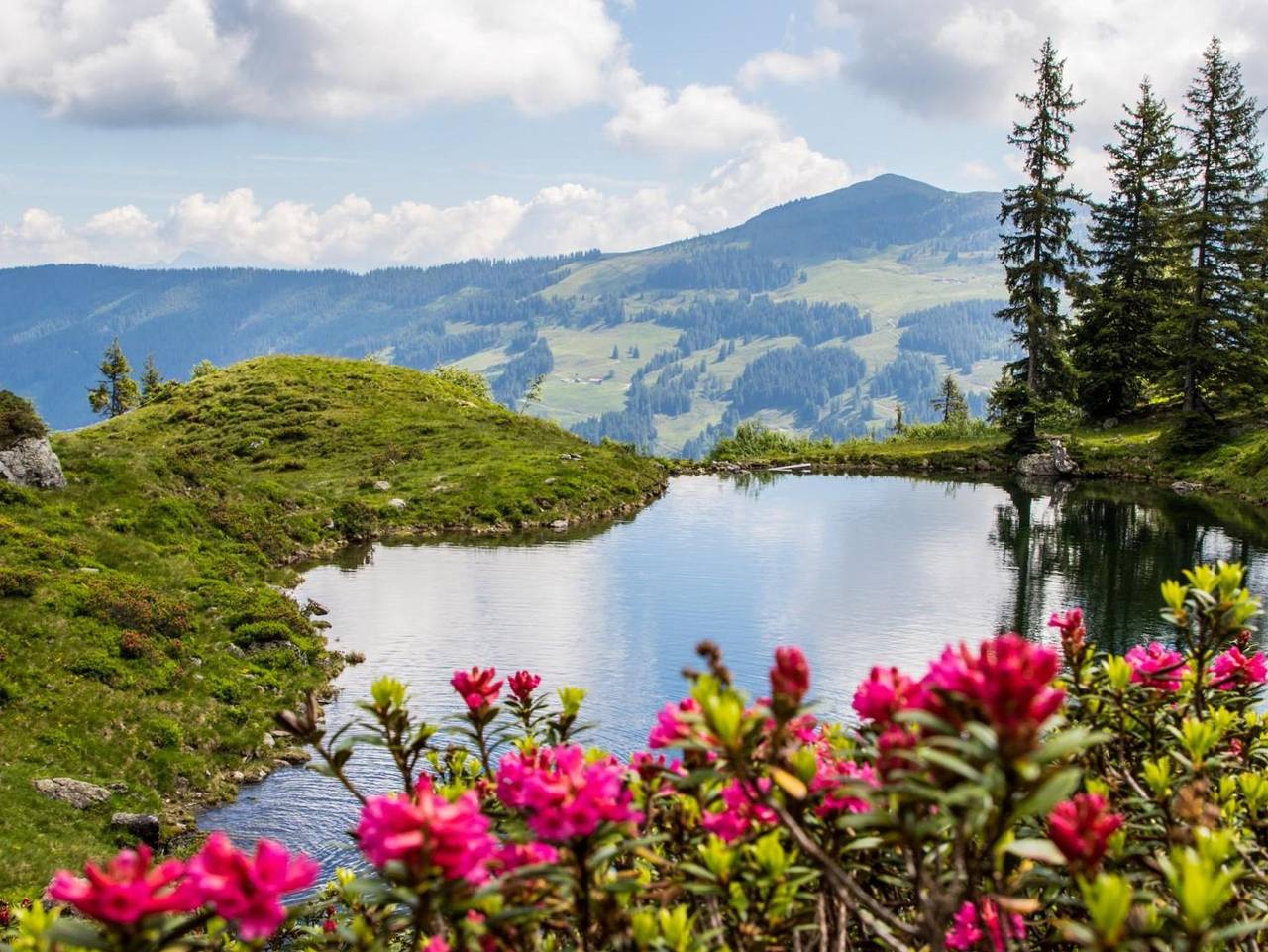 Ganze Ferienwohnung, Haus Gföller - Appartment Gföller in Hopfgarten im Brixental, Kaisergebirge