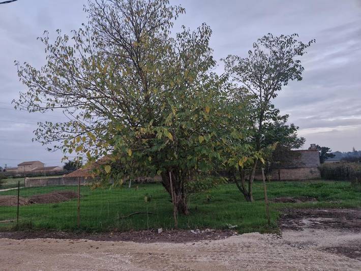 Location de vacances pour 10 personnes, avec vue et terrasse, animaux acceptés à Bédarrides - 2