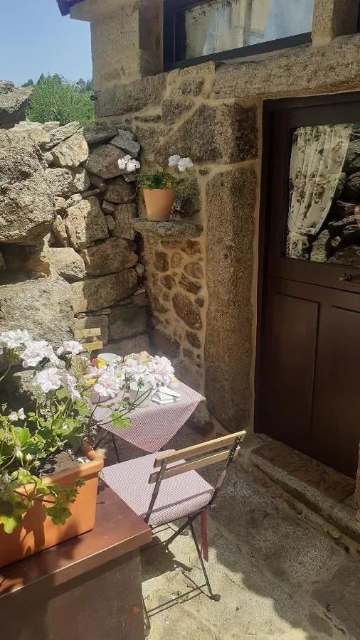 Ferienhaus für 2 Personen, mit Terrasse, mit Haustier - 1