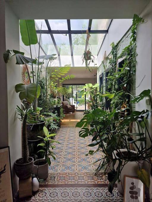 Location de vacances pour 8 personnes, avec terrasse et jardin à Lambersart - 4