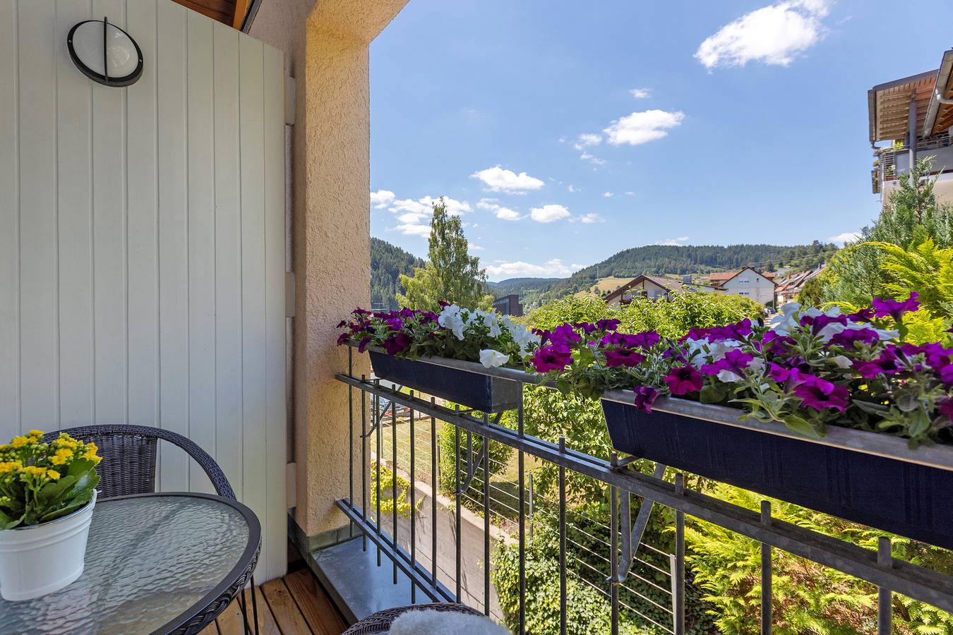 Ganze Wohnung, Ferienappartment B mit Balkon und Wi-Fi in Tennenbronn, Schramberg