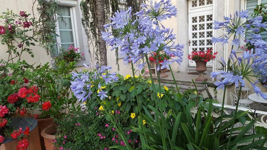 Chambre d’hôte pour 4 personnes, avec vue ainsi que jardin et piscine