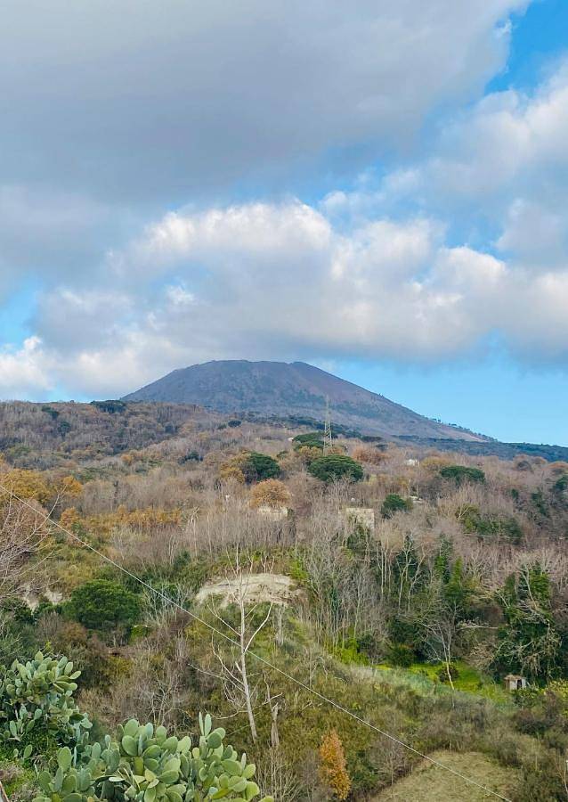 Domus Agricolae Corallina in Torre del Greco, Parco nazionale del Vesuvio
