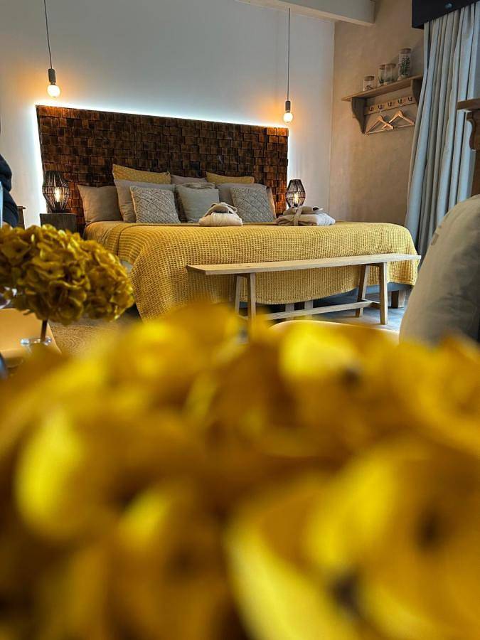 Chambre d’hôte pour 2 personnes, avec sauna ainsi que jacuzzi et jardin dans Lac de Saint-Cyr