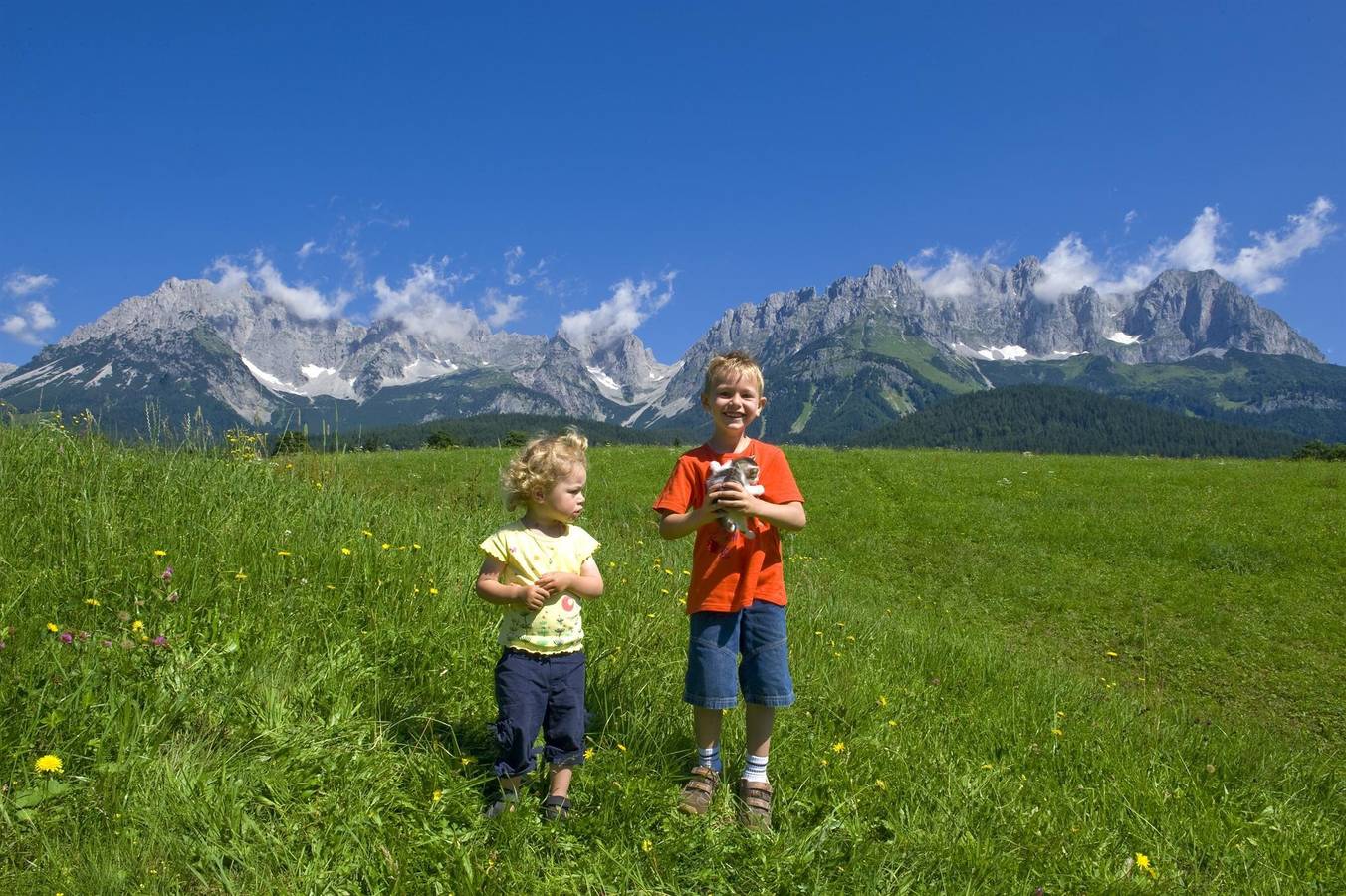 Ganze Ferienwohnung, Appartement 1 " Wiese " 2 Schlafräume & Bäder in Going am Wilden Kaiser, Kaisergebirge