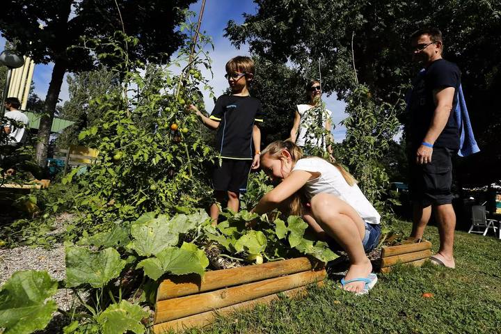 Camping für 10 Personen, mit Pool und Terrasse, kinderfreundlich im Elsass - 4