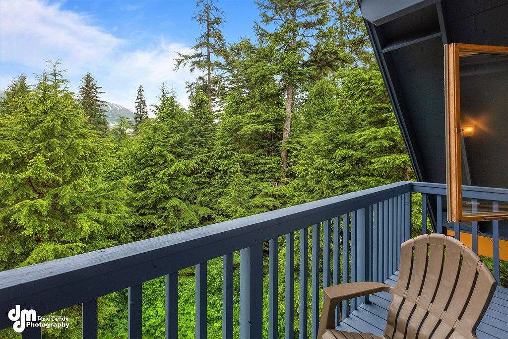 Spacious rental for 6 in lovely home with gorgeous views, minutes from resort in Girdwood, Anchorage