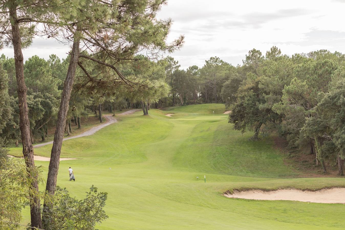 Apartamento entero, Moliets 2p4p in Moliets-et-Maa, Côte d’Argent