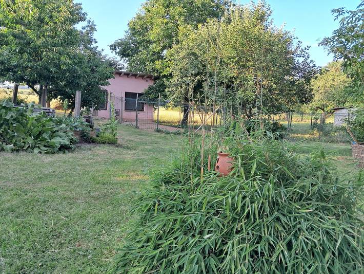 Bauernhof für 2 Personen an der Rhön - 4
