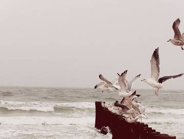 Ferienwohnung für 3 Personen in Dierhagen Strand, Dierhagen, Bild 4