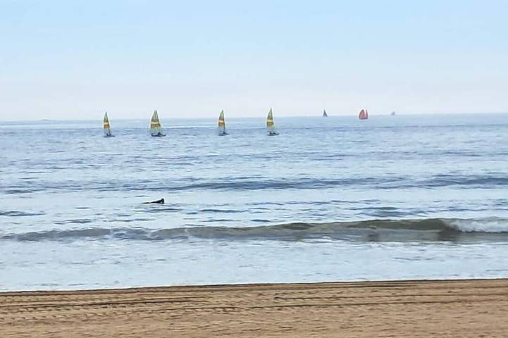 Gîte pour 2 personnes, animaux acceptés dans Hippodrome De Pornichet La Baule