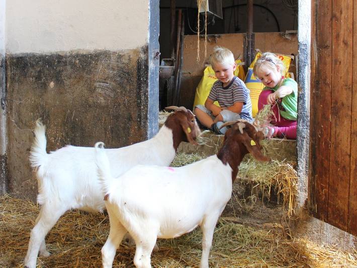Ferienhaus für 6 Personen, mit Garten und Whirlpool sowie Sauna, kinderfreundlich im Sauerland - 3