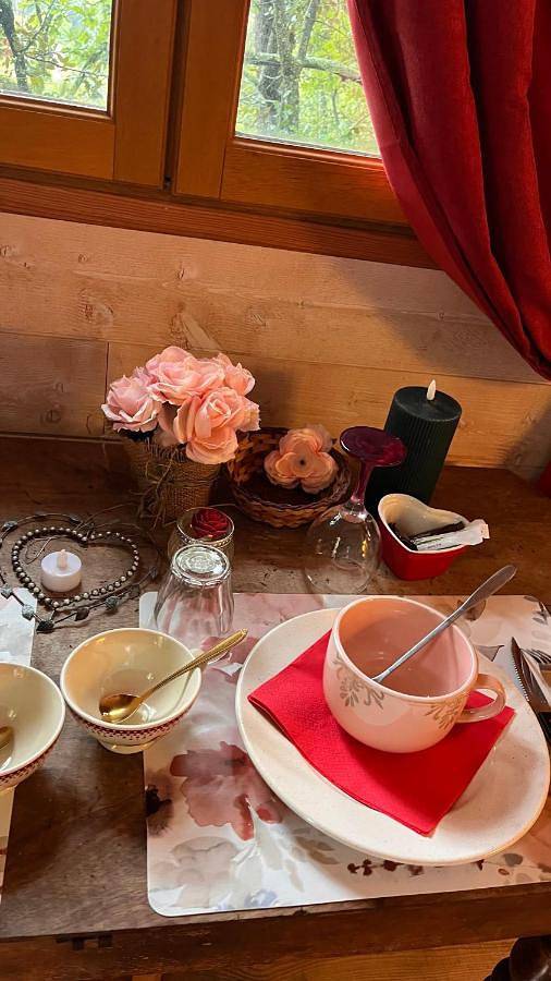 Chambre d’hôte pour 2 personnes, avec jardin ainsi que terrasse et vue, animaux acceptés à Barjols - 4