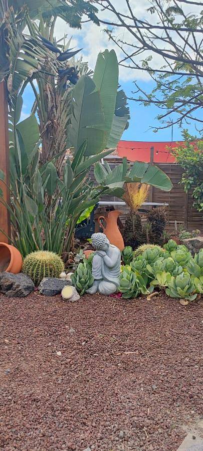 Bungalow für 2 Personen, mit Terrasse und Garten in Teneriffa Süd - 4