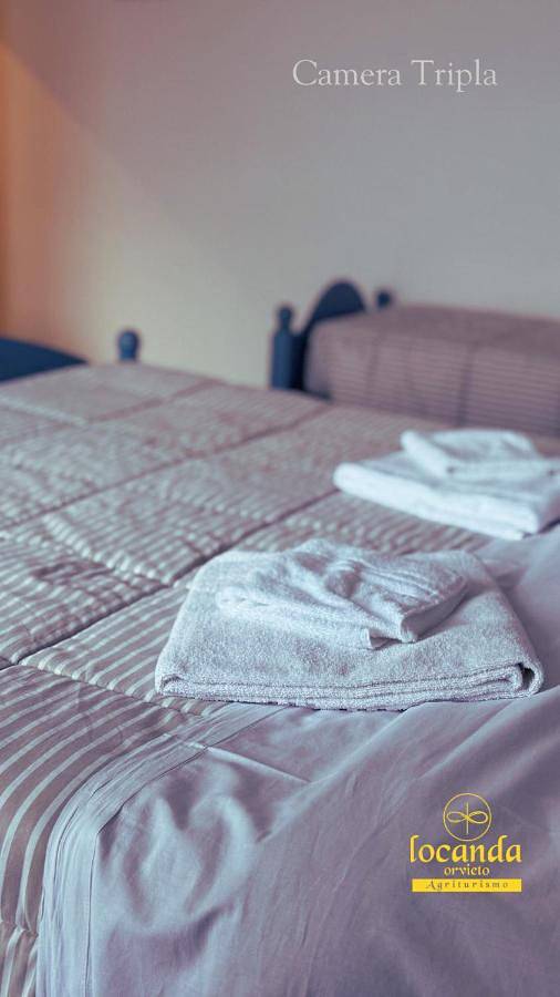 Agriturismo per 3 persone in Orvieto