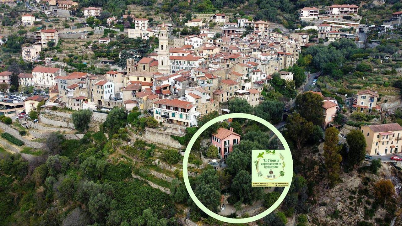 Appartement entier, U Ciousu by Ligurian Life Appartamenti In Agriturismo in Vallebona, Riviera di Ponente