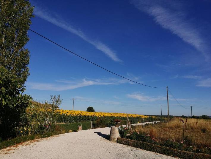 Location de vacances pour 4 personnes, avec jardin et piscine dans Dunes - 2