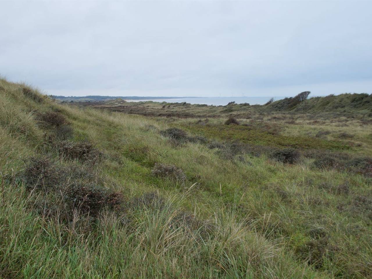 "Amadahy" - 950m from the sea in Tversted, Tannisbucht