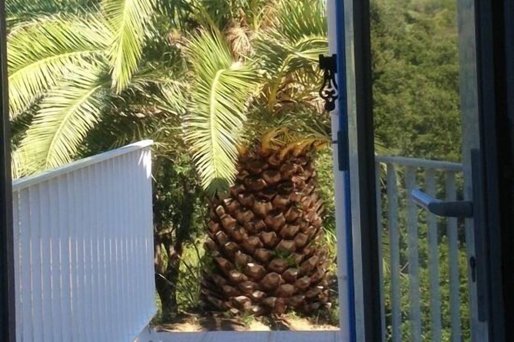 Beautiful villa with pool, sea view, large garden and beach 7mn walk to Campomoro in Campomoro, Belvédère-Campomoro