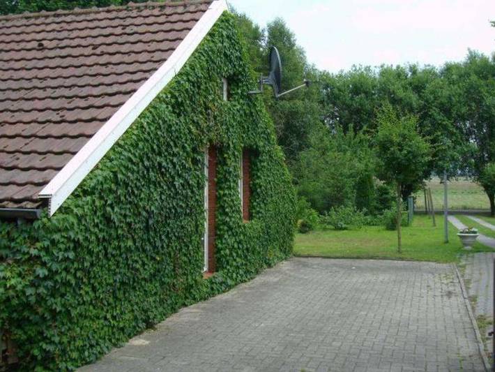 Ferienhaus für 5 Personen, mit Terrasse und Garten, mit Haustier in Leer und Umgebung - 2