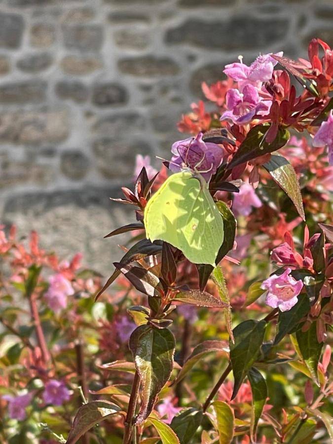 Location de vacances pour 4 personnes, avec jardin ainsi que terrasse et vue à Saint-Gilles-Pligeaux - 4