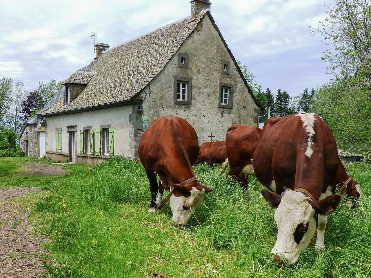 Le gîte de la Chaleille in Tauves, Parque Natural Regional Volcans d'Auvergne