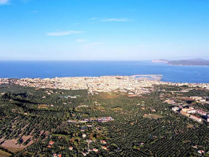 Villa pour 12 personnes à Alghero - 4