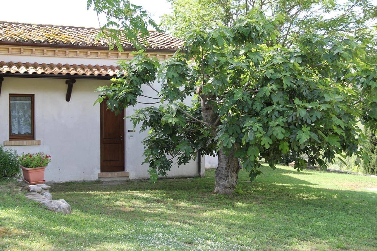 Agriturismo L'Arcadia in Città Sant'Angelo e dintorni, Provincia di Pescara