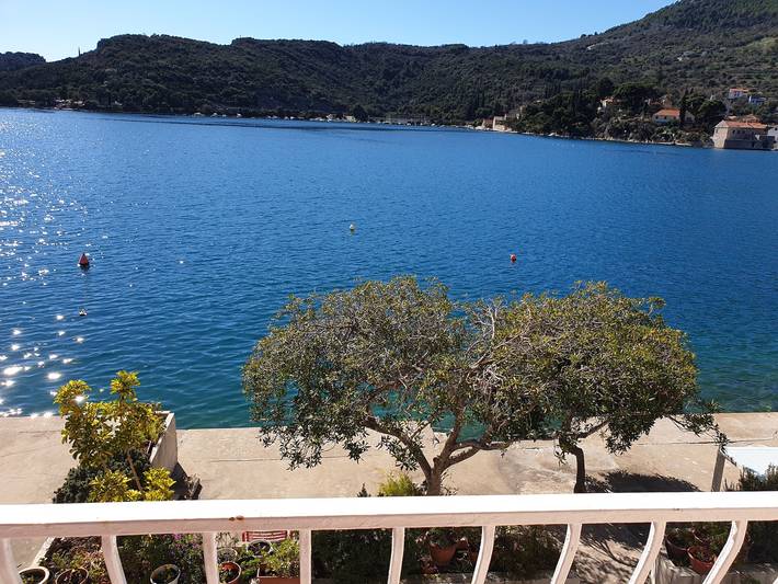 Studio entier, Studio pour 2 personnes avec jardin in Zaton, Grad Dubrovnik