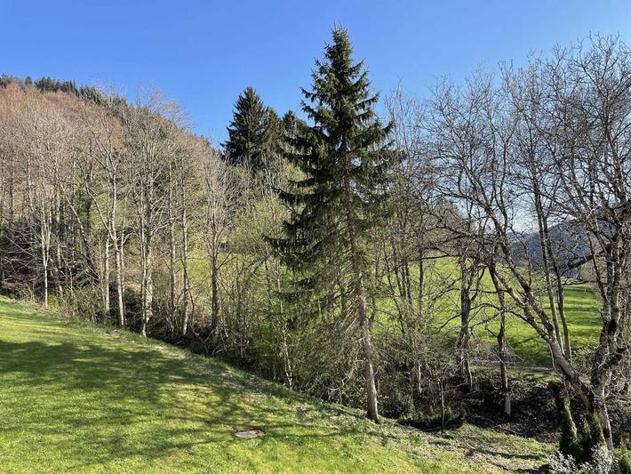 Ferienpark für 3 Personen, mit Sauna und Balkon sowie Ausblick und Pool im Oberallgäu - 4