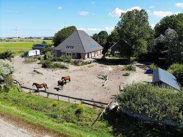 Bungalow für 5 Personen in Callantsoog