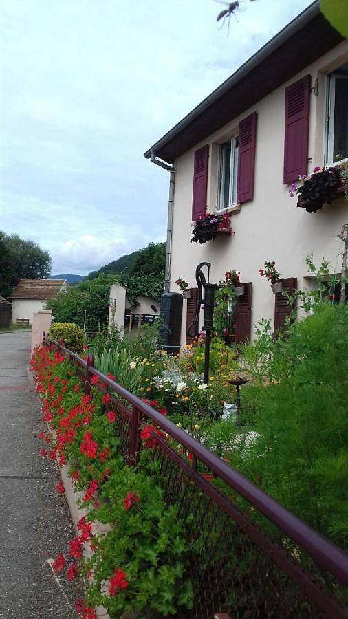 Gîte pour 6 personnes, avec terrasse et vue à Lièpvre - 2