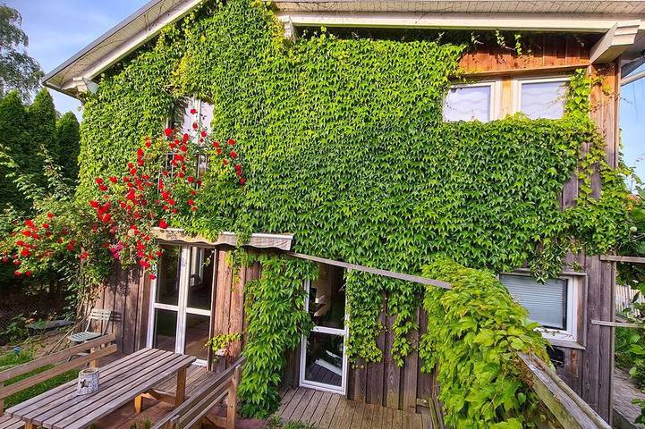 Ferienhaus für 6 Personen, mit Garten und Terrasse, mit Haustier in Stralsund - 3