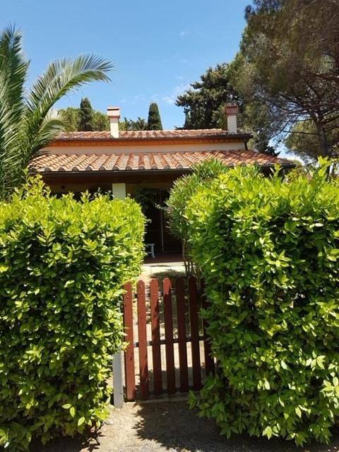 Basement apartment in holiday home in Cecina, Côte des Étrusques