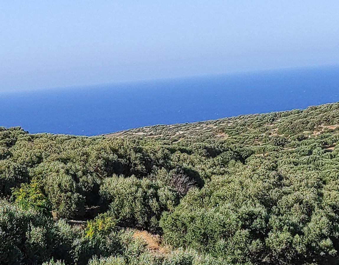 Elounda Collection Villa in Lasithi