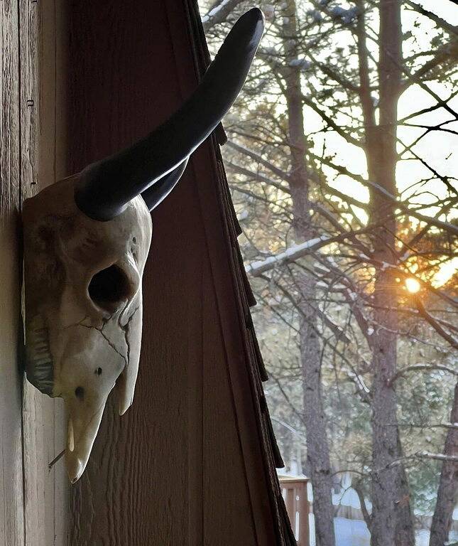 Ganze Wohnung, 2 Blocks from Resort Base! 2b-2ba Newly Remodeled!! 🎿 in Angel Fire, Colfax County