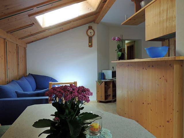 Ganze Ferienwohnung, Apartment/1 Schlafraum/Bad, Wc, 2-3 Pers in Schobergruppe, Thurn