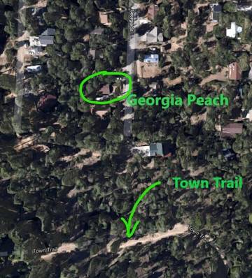 Log Cabin for 6 Guests in Snow Summit, Big Bear Lake, Picture 3