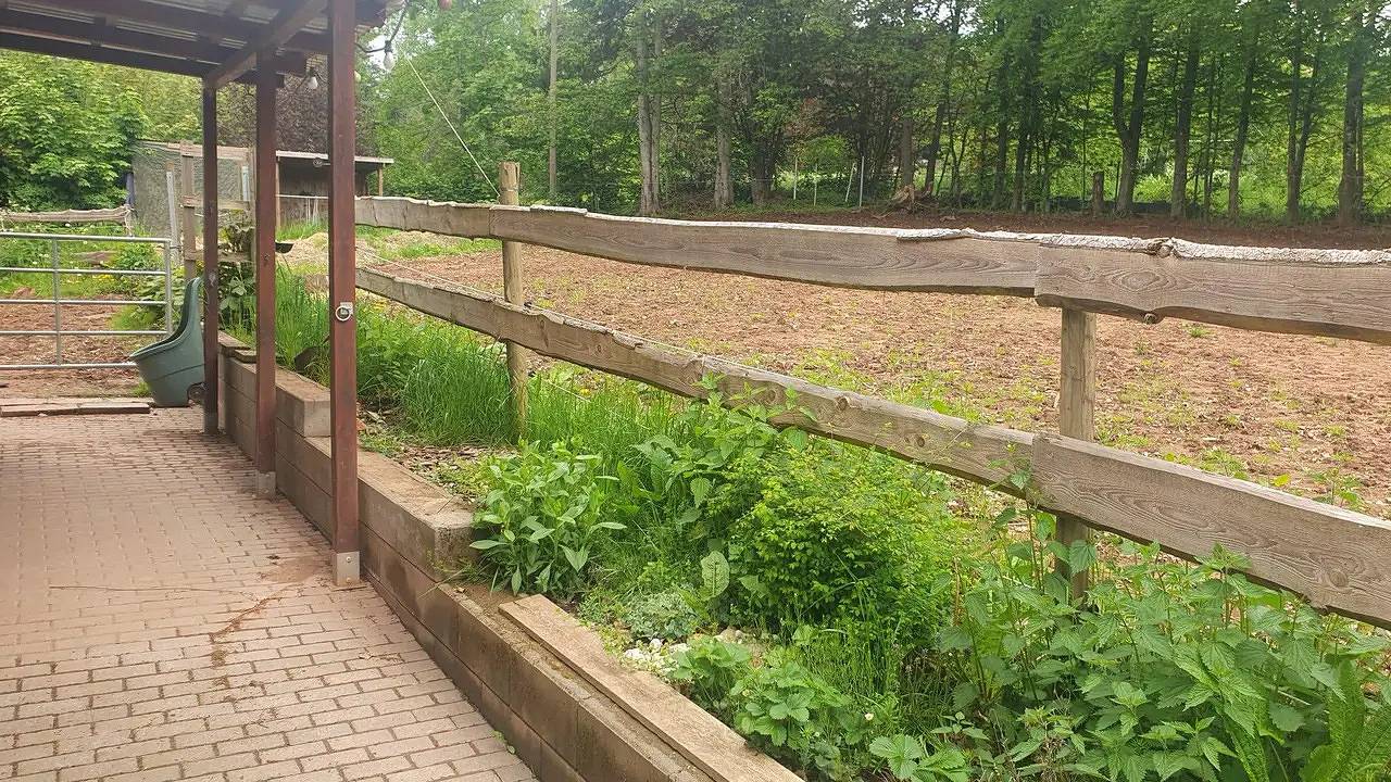 Maison de vacances pour 3 personnes avec jardin in Britten, Losheim am See